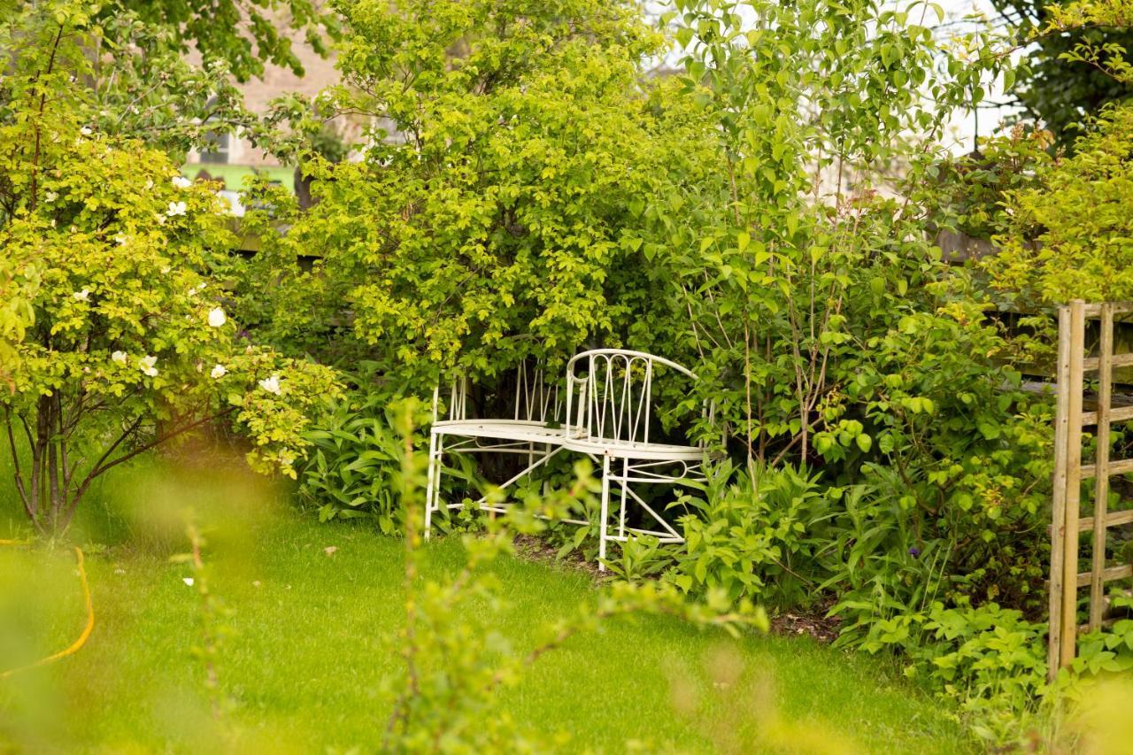 دندي 11 Somerville Place East المظهر الخارجي الصورة