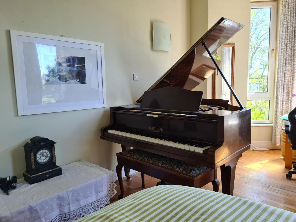 دندي 11 Somerville Place East المظهر الخارجي الصورة